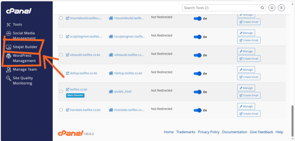 Installing WordPress On Your Domain