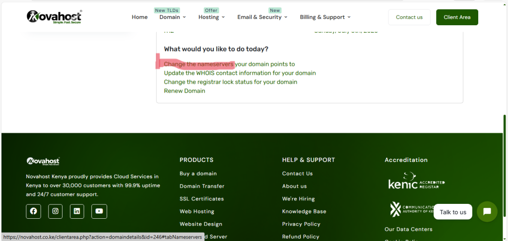 Find the "Nameservers" or "DNS Management" section.